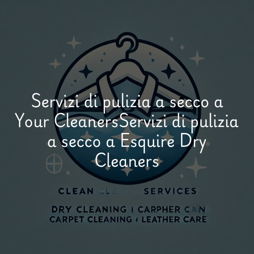 Servizi di pulizia a secco a
