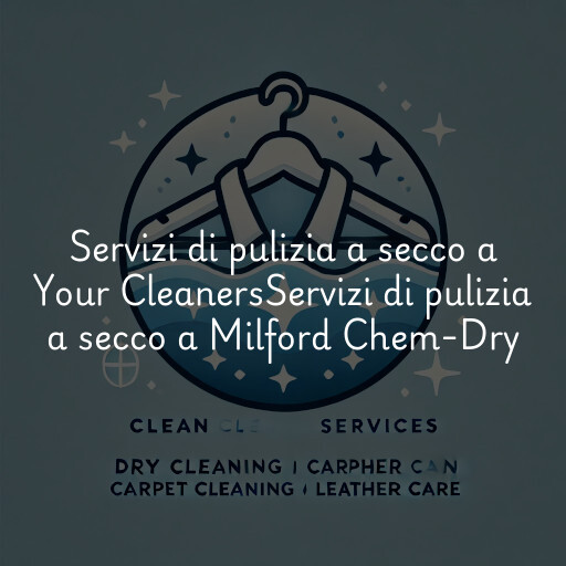 Servizi di pulizia a secco a