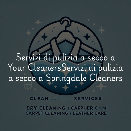 Servizi di pulizia a secco a