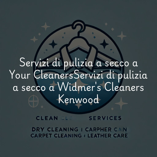 Servizi di pulizia a secco a