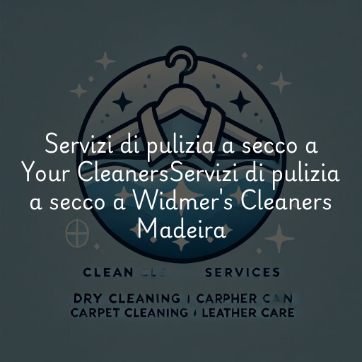 Servizi di pulizia a secco a