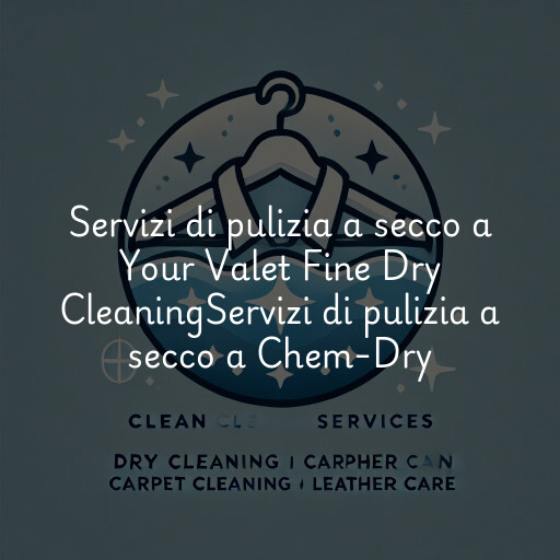 Servizi di pulizia a secco a