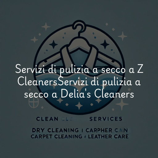 Servizi di pulizia a secco a