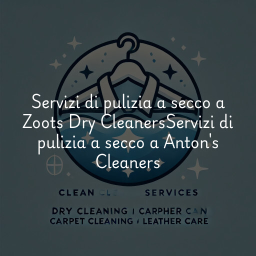 Servizi di pulizia a secco a